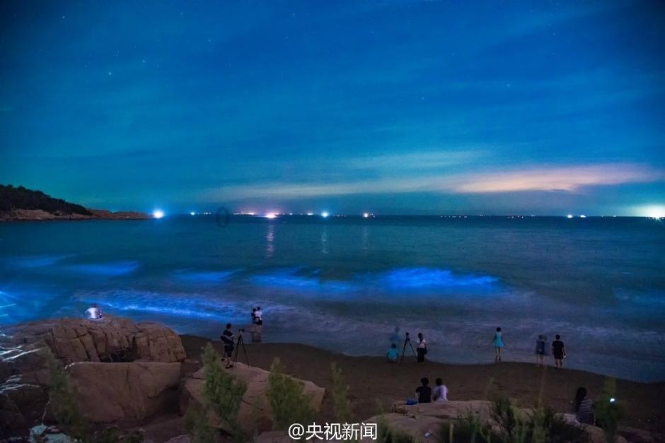 河化股份下跌5.2%，报4.19元/股